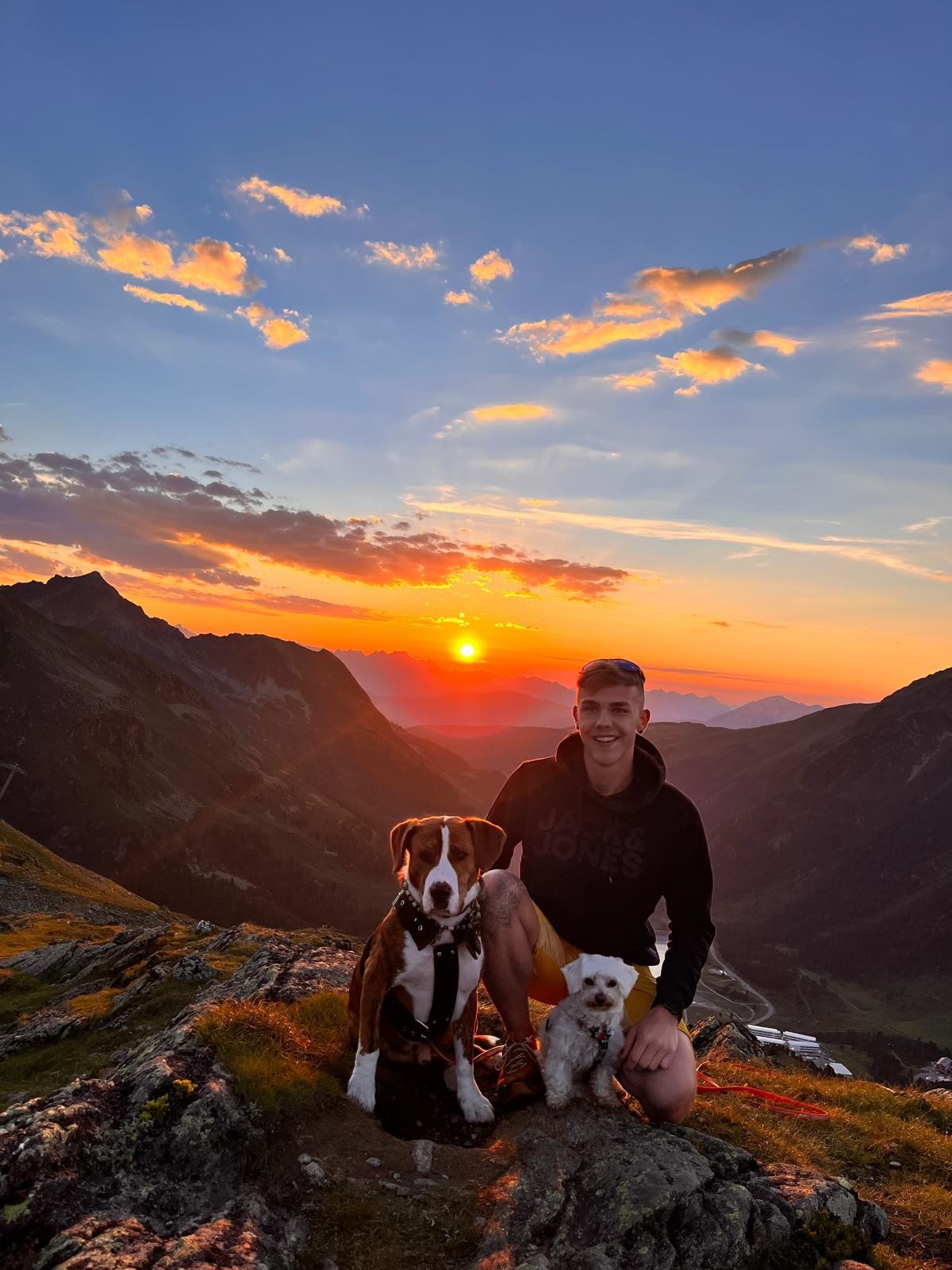 Hundetrainer mit Hunden in den Bergen