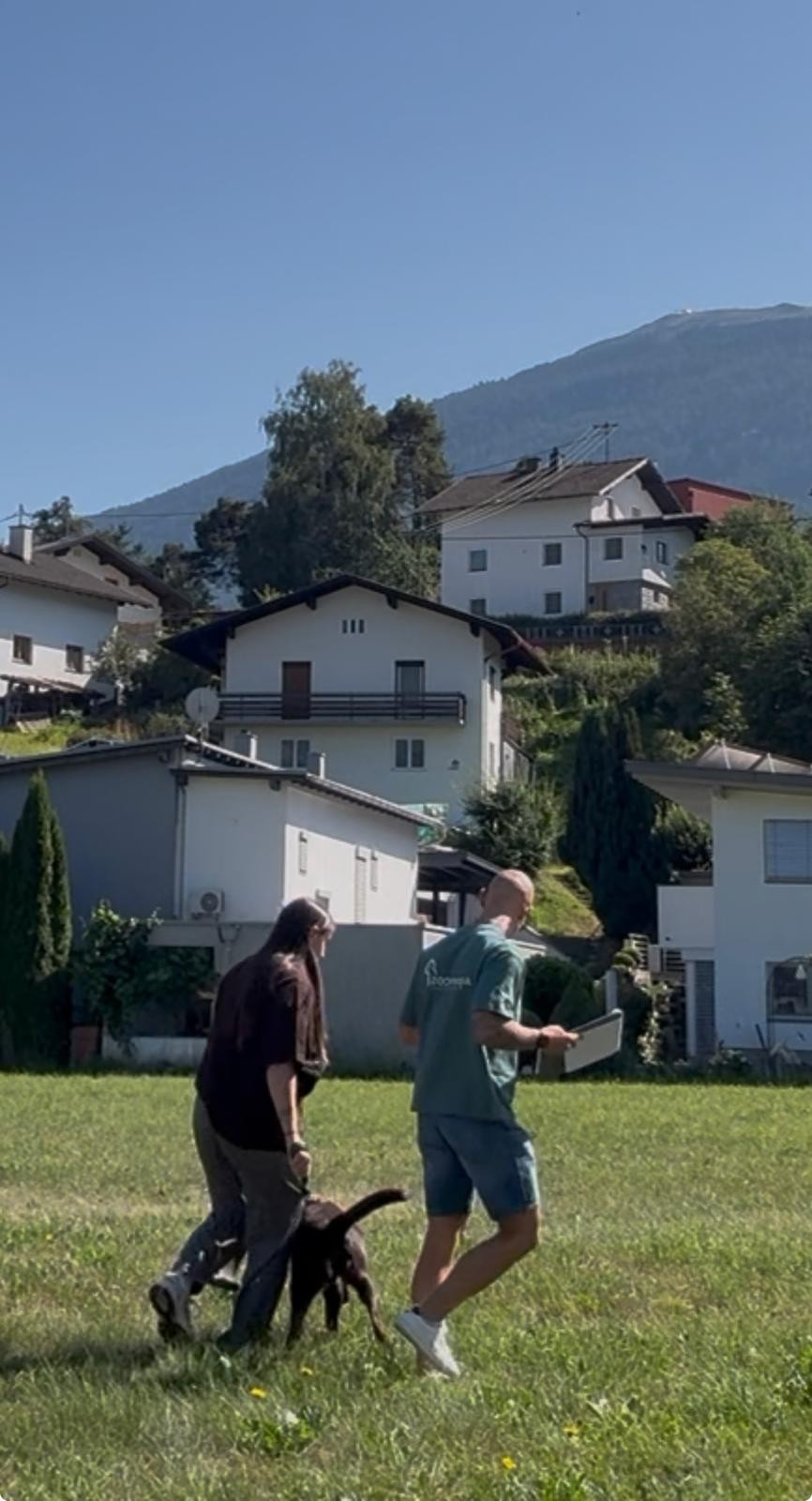 Hundetraining bei AlpenDOGS