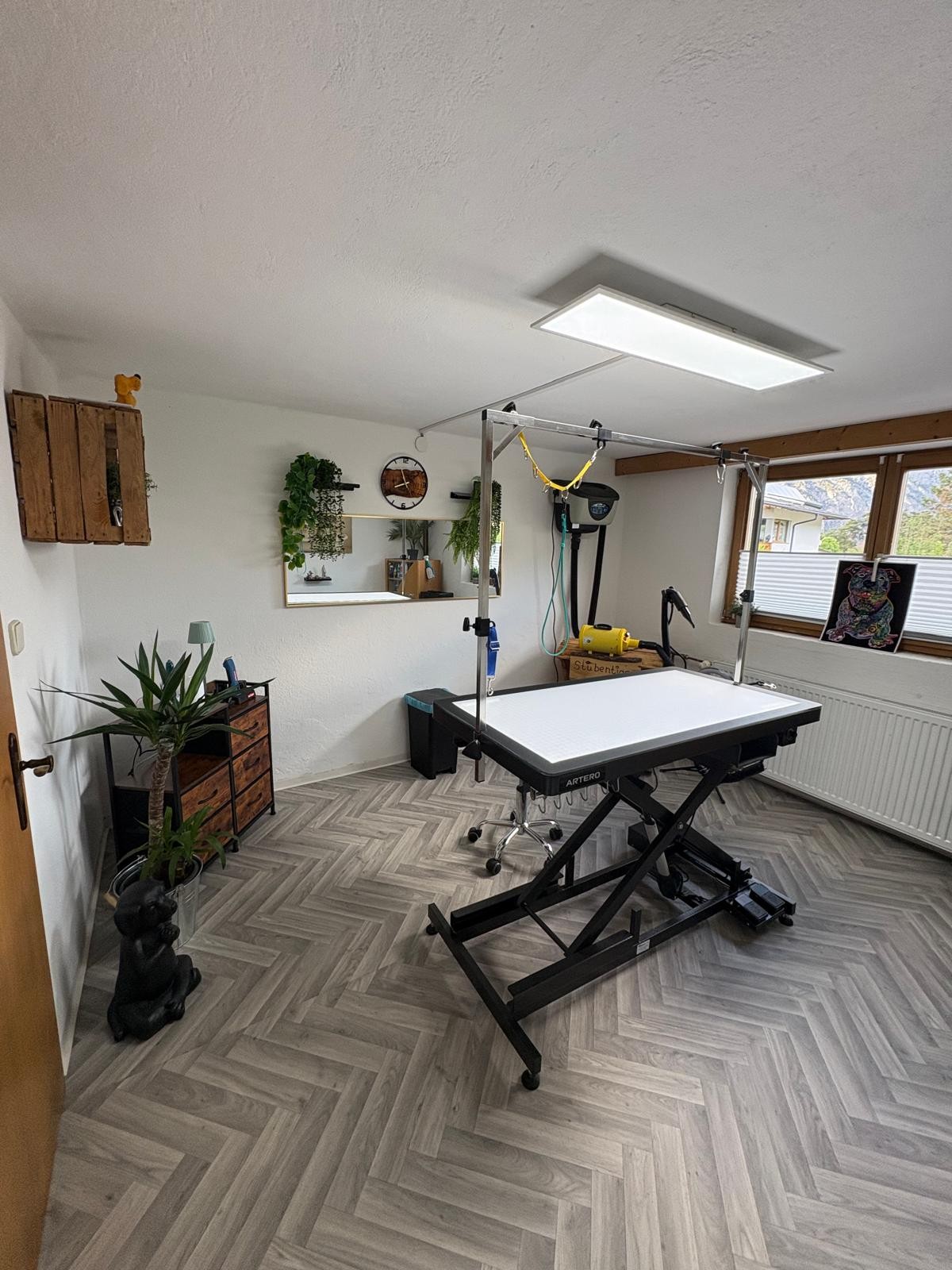 Hundesalon