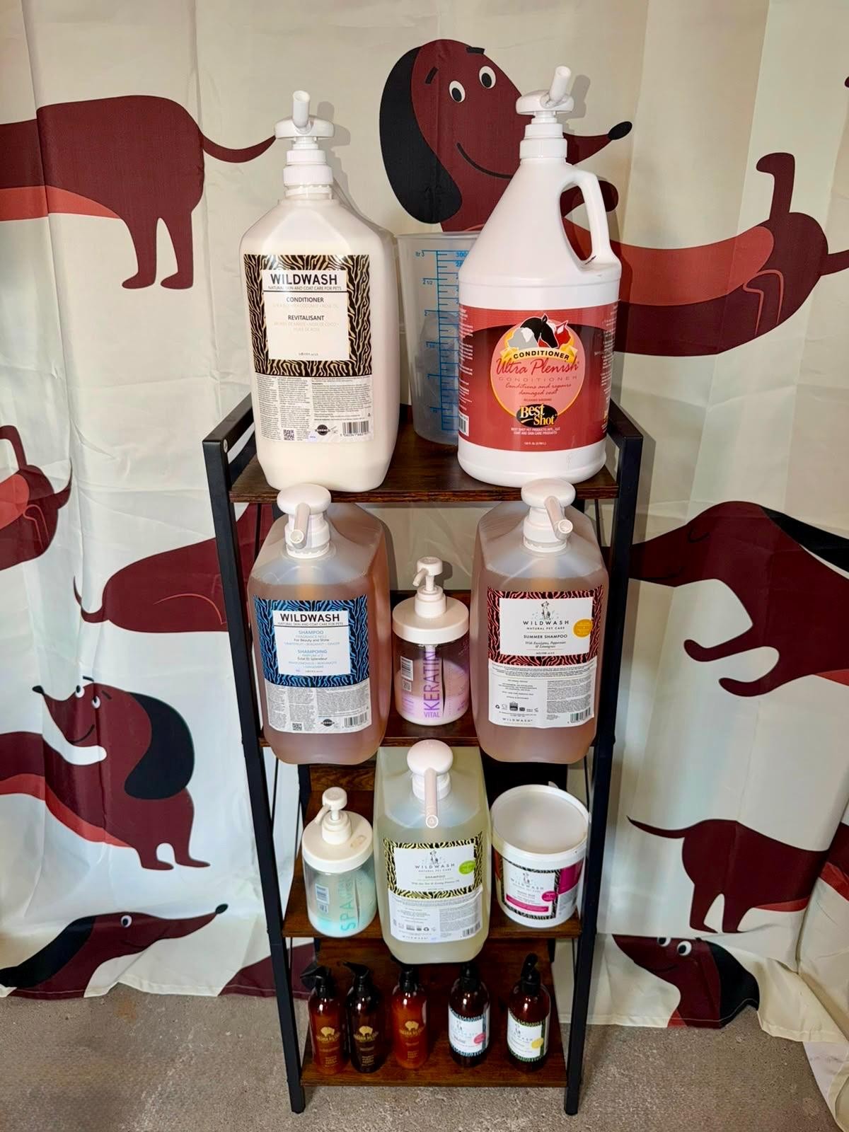 Hundebadewanne im Hundesalon